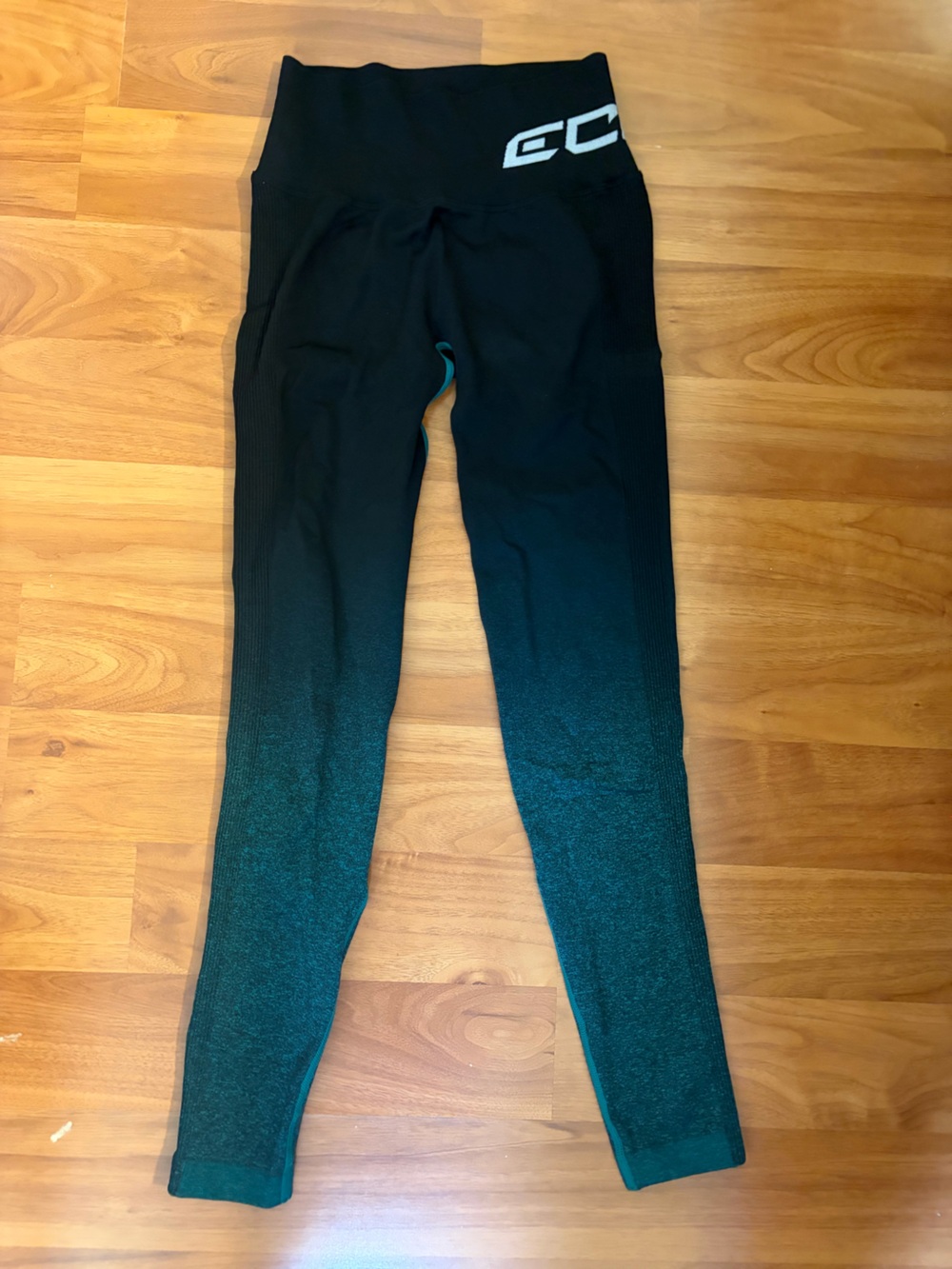 ECHT Teal Ombre Scrunch Butt Leggings